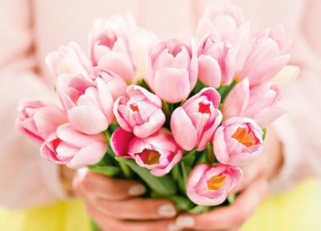 По чем цветы к 8 марта? Присмотрелись к ценам